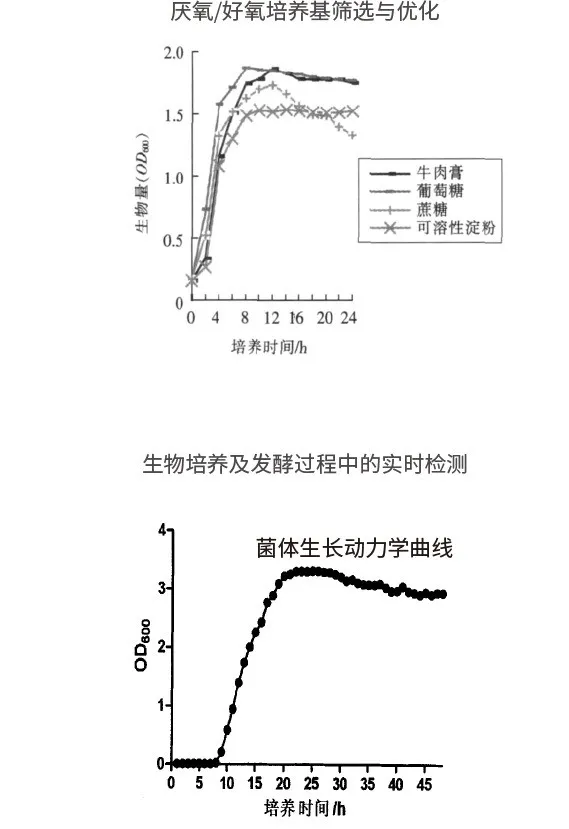 厌氧/好氧培养基筛选与优化