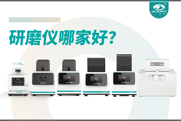 研磨仪哪家好？宁波新芝生物研磨仪厂家专注样品处理