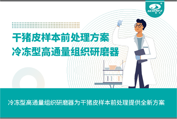 冷冻型高通量组织研磨器为干猪皮样本前处理提供全新方案