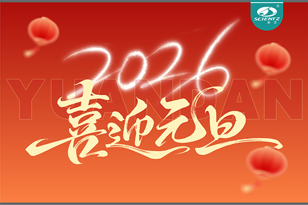 董事长周芳女士新年献词：心有定力，沐光而行