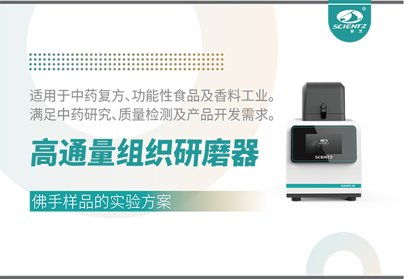 高通量组织研磨器处理佛手样品的实验方案