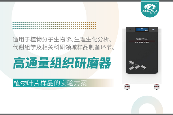 冷冻型高通量组织研磨器处理植物叶片的实验方案