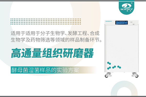 冷冻型高通量组织研磨器处理酵母菌湿菌体的实验方案