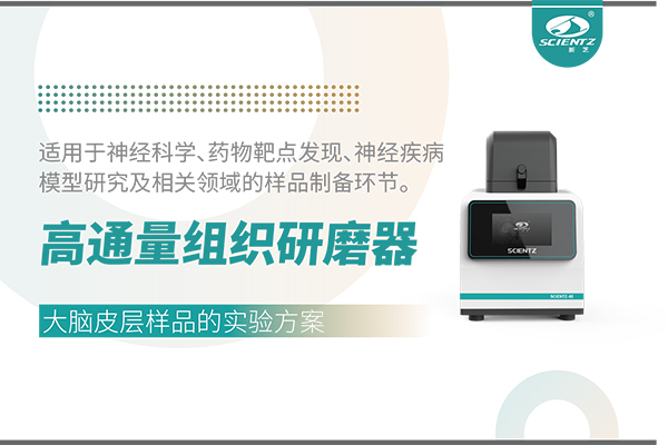 高通量组织研磨器处理大脑皮层样品的实验方案