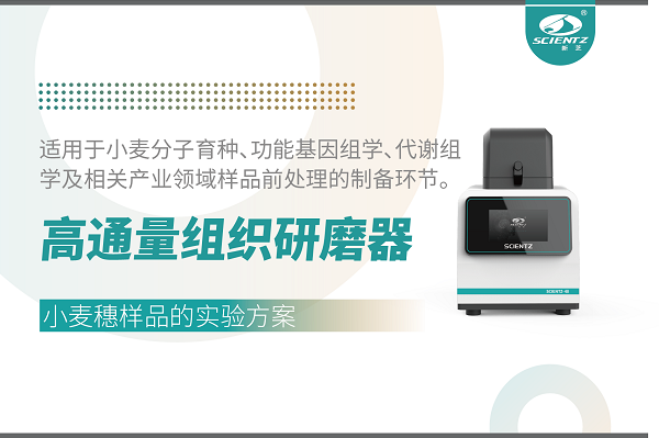 高通量组织研磨器在谷物样品前处理中的应用——以小麦穗为例
