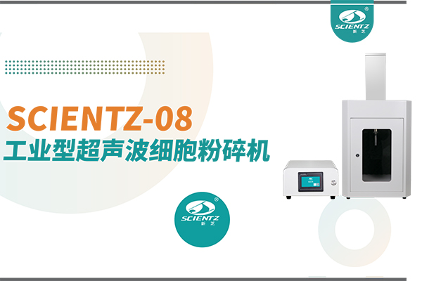 工业型超声波细胞粉碎机 | 双激励换能器加持，让超声处理从“实验室”走向“生产线”