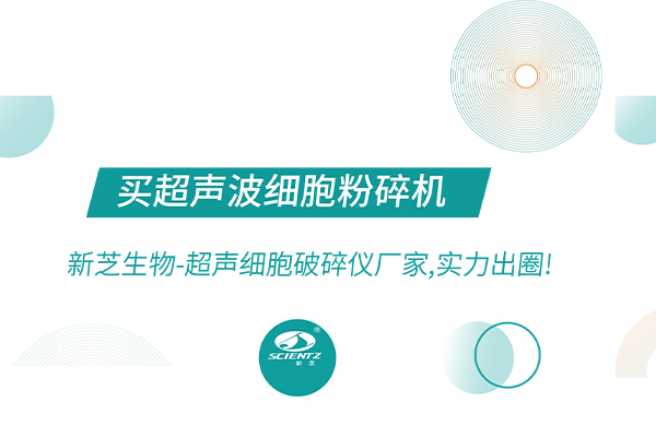 超声波细胞裂解仪怎么选?超声波细胞破碎机哪家好?新芝生物-超声细胞破碎仪厂家,实力出圈!