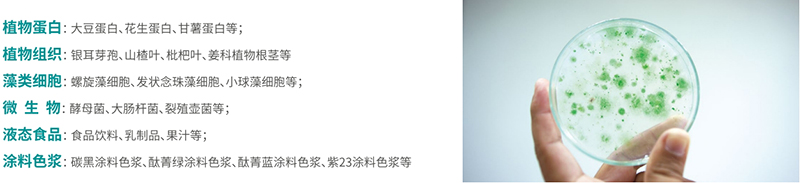 样本举例