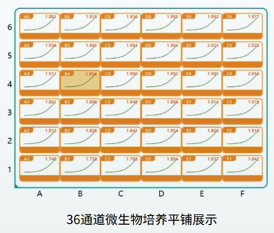 高通量培养