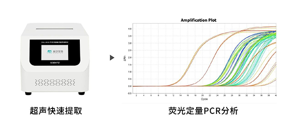 超声快速提取