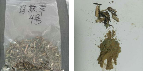 马鞭草官网案例对比图