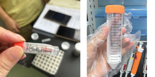 水产动物骨骼对比图