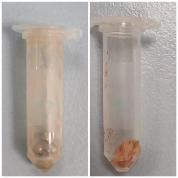 研磨前后