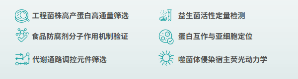 详情