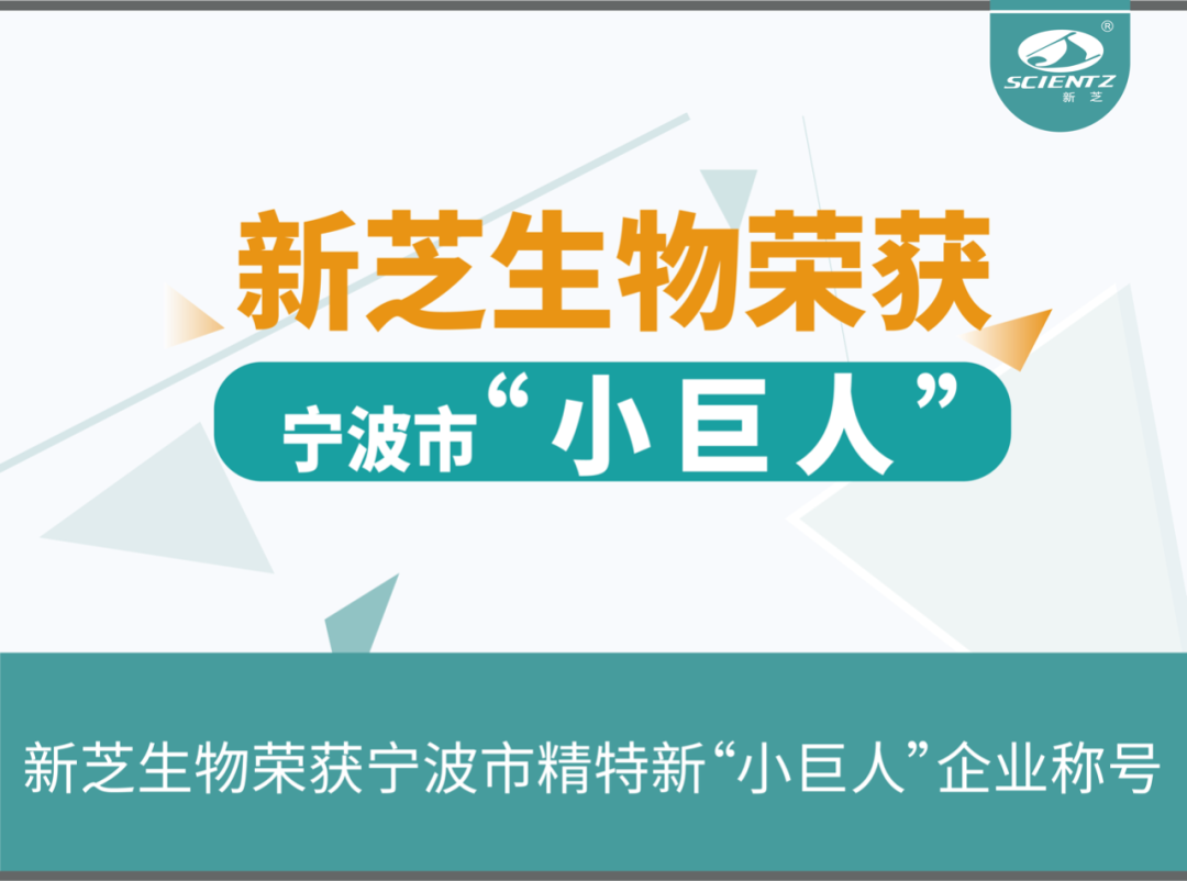 新芝生物荣获宁波市精特新“小巨人”企业称号